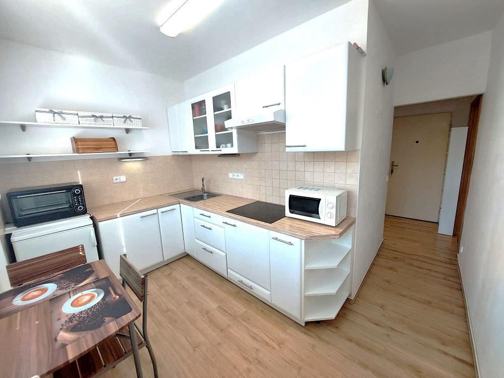Pronájem bytu 1+1 Brno-Lesná, ul. Arbesova