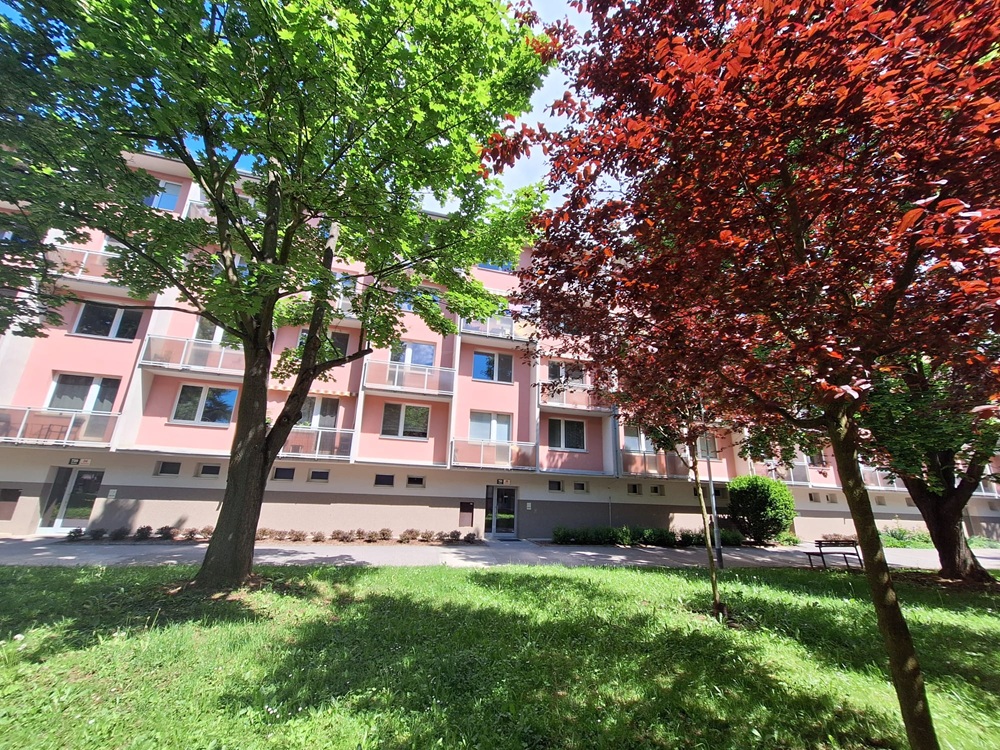 Pronájem bytu 3+1 Brno-Komín, ul. Řezáčova
